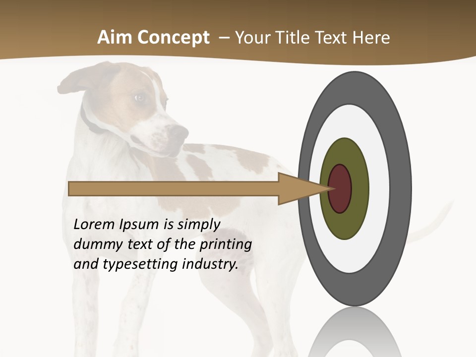 English Pointer (5 Months) In Front Of A White Background PowerPoint Template