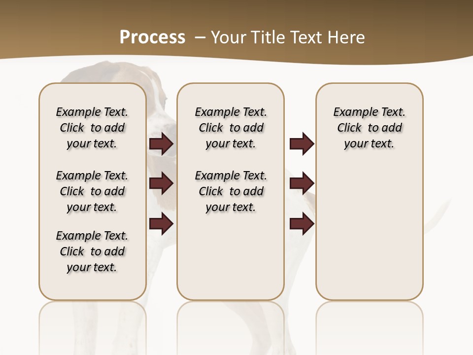 English Pointer (5 Months) In Front Of A White Background PowerPoint Template