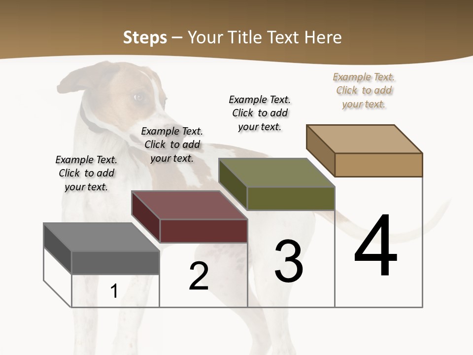 English Pointer (5 Months) In Front Of A White Background PowerPoint Template