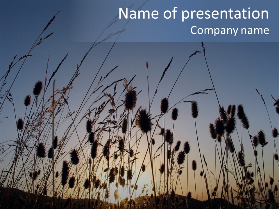 Sunset PowerPoint Template