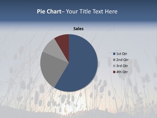 Sunset PowerPoint Template