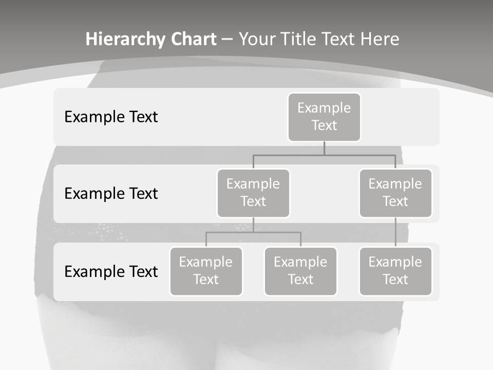 Black And White Shot Of Woman's Back In Y Vintage Panties PowerPoint Template