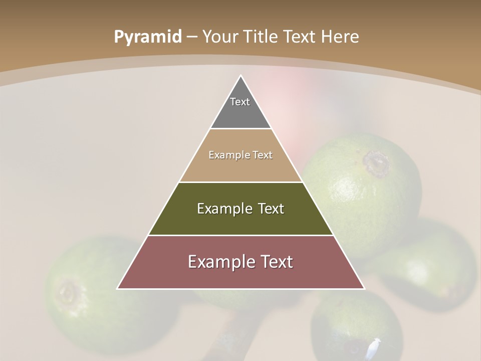 Coffee Bean Plantation PowerPoint Template