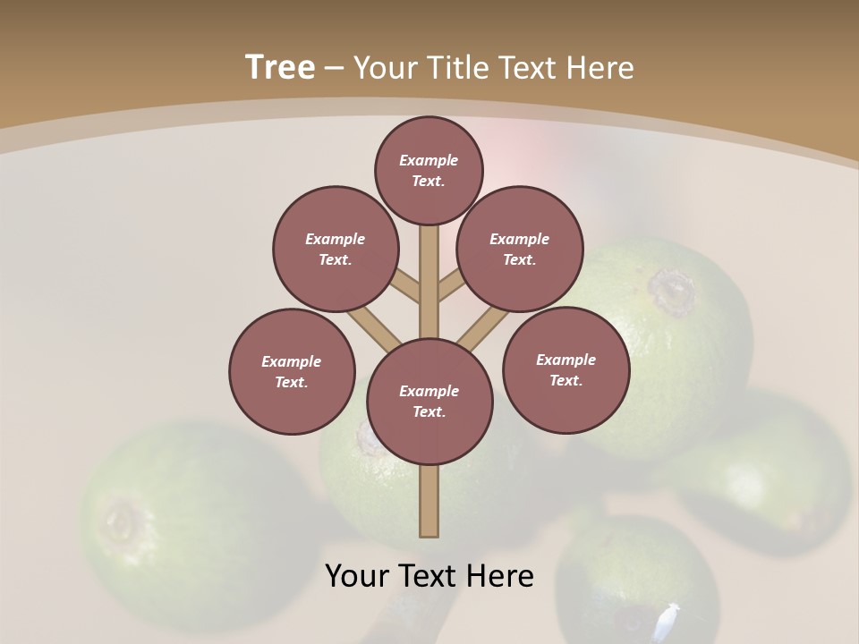 Coffee Bean Plantation PowerPoint Template