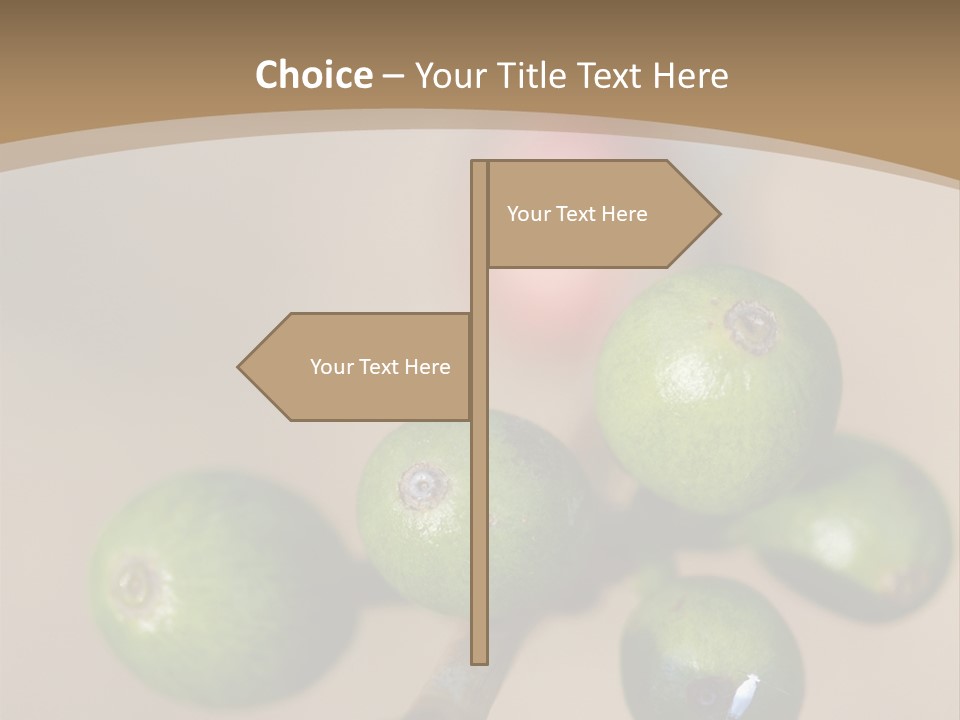 Coffee Bean Plantation PowerPoint Template