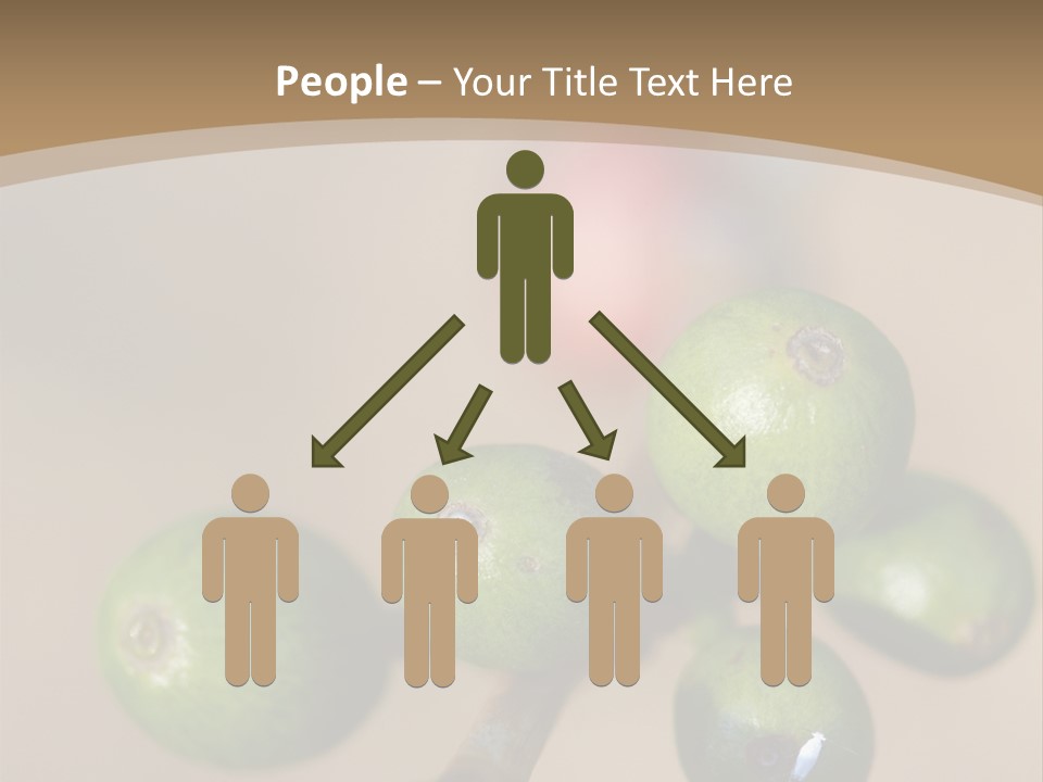 Coffee Bean Plantation PowerPoint Template