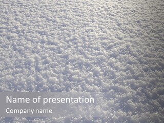 Freshly Fallen New Snow In Minnesota At Dawn. PowerPoint Template