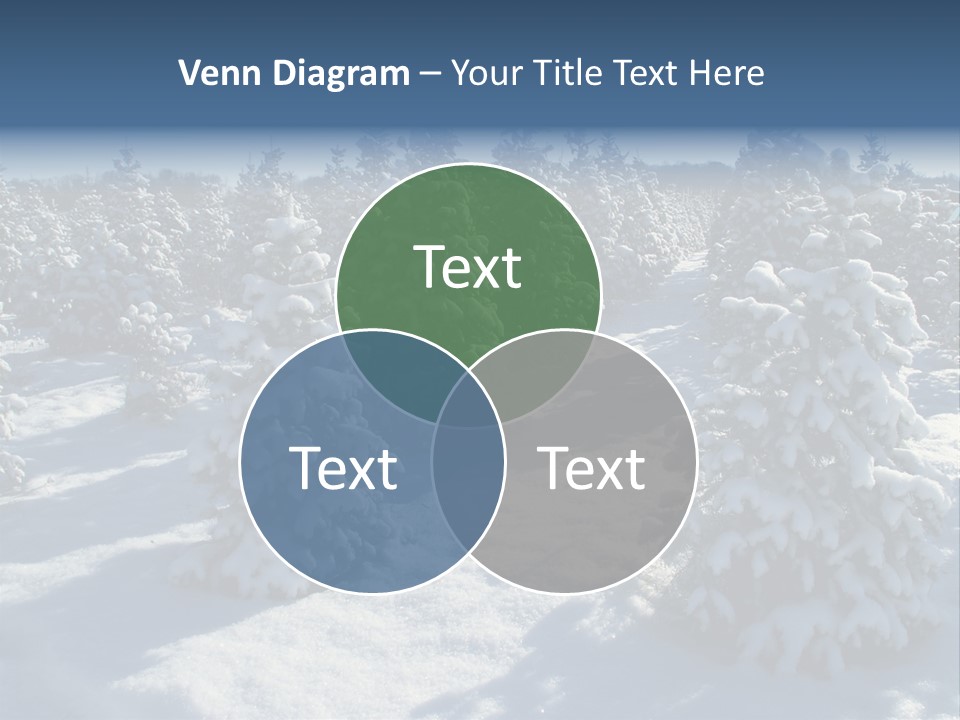 Snowy Pine Forest PowerPoint Template