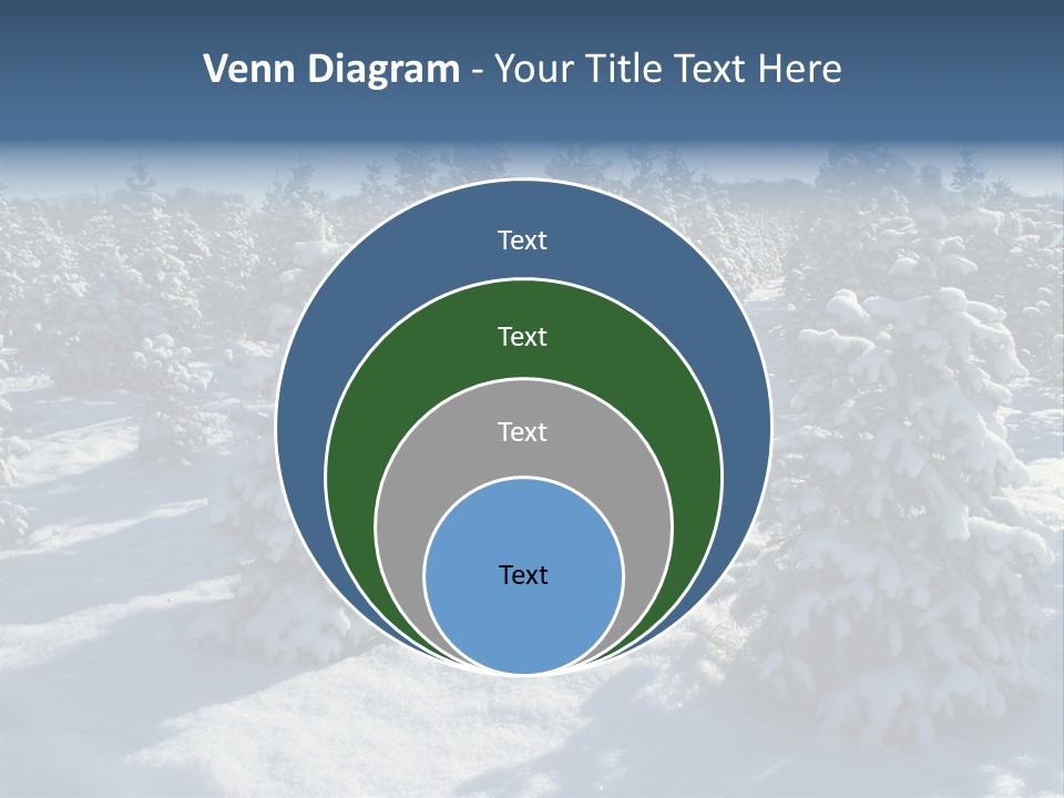 Snowy Pine Forest PowerPoint Template