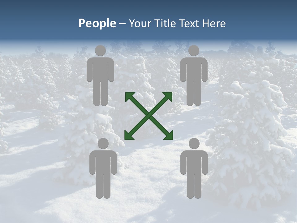 Snowy Pine Forest PowerPoint Template