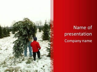 Taking Home The Christmas Tree PowerPoint Template