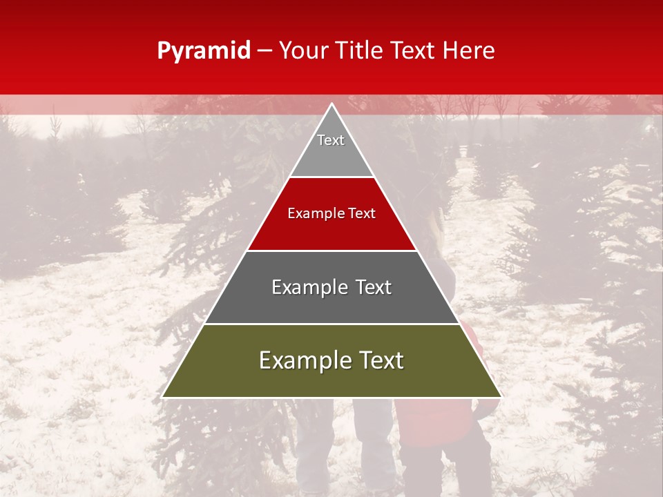 Taking Home The Christmas Tree PowerPoint Template
