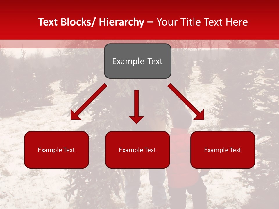 Taking Home The Christmas Tree PowerPoint Template