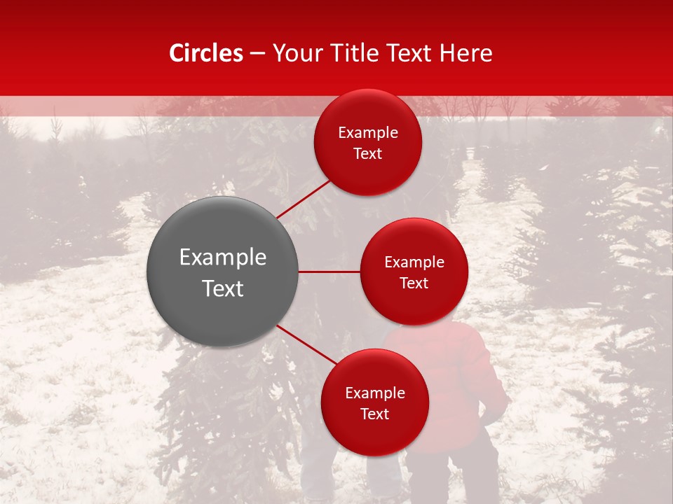 Taking Home The Christmas Tree PowerPoint Template