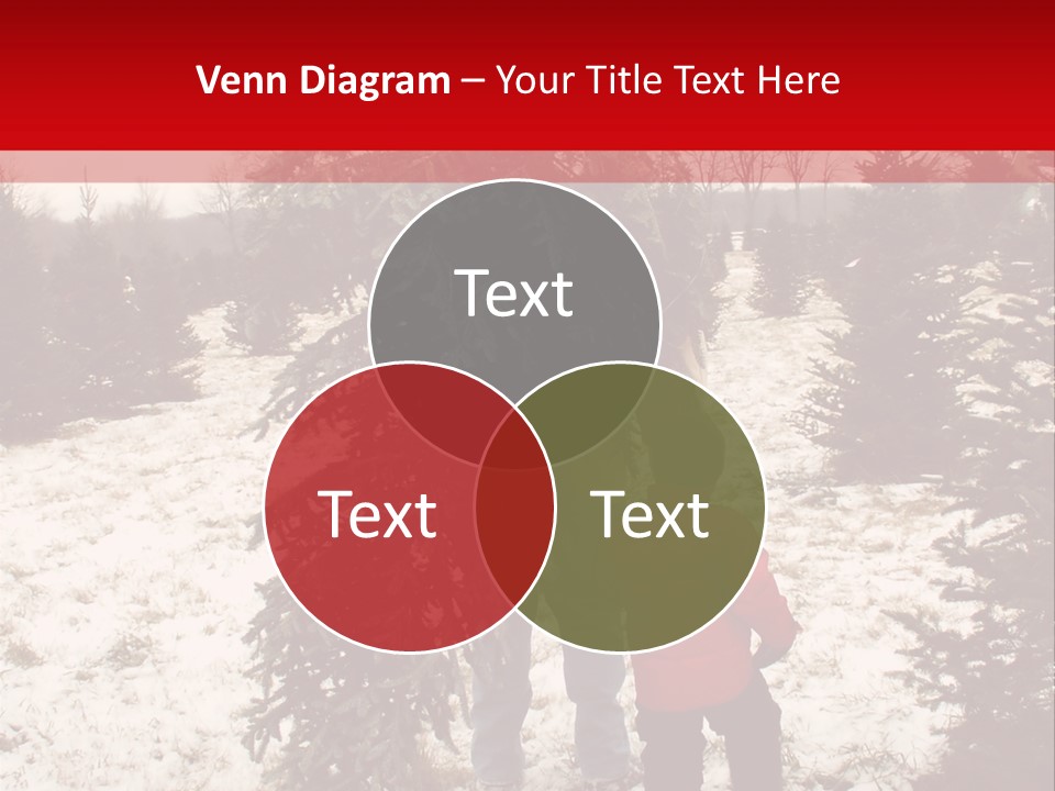 Taking Home The Christmas Tree PowerPoint Template