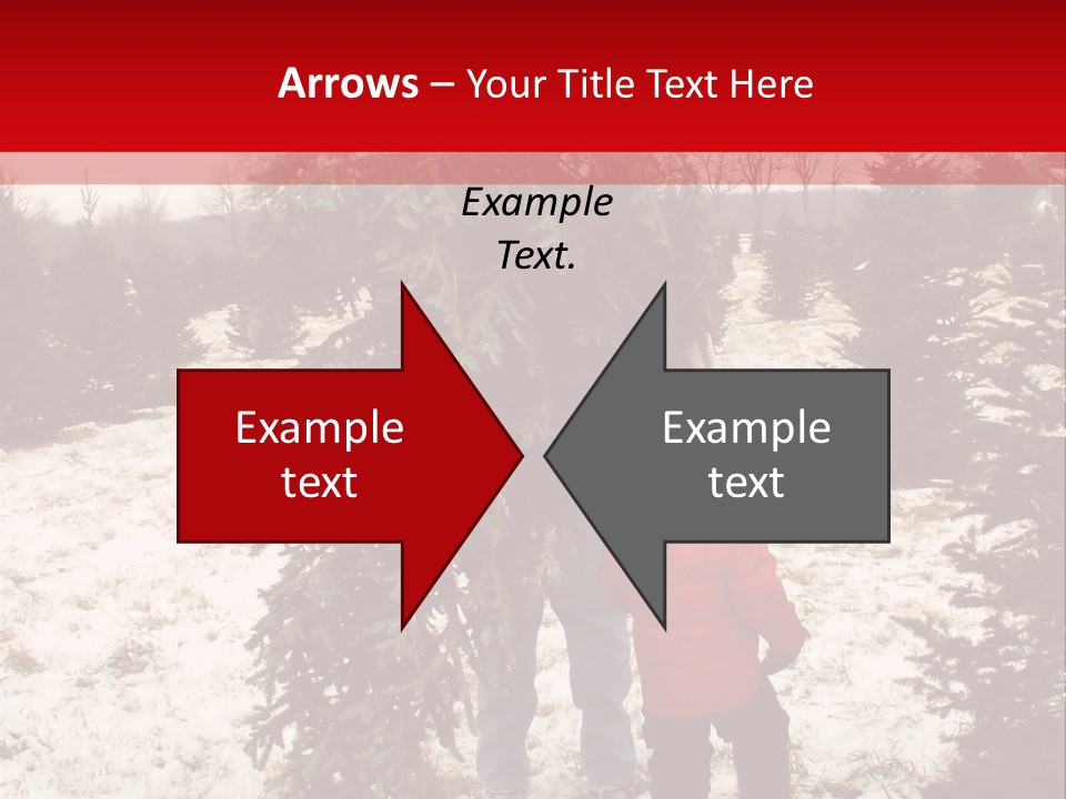 Taking Home The Christmas Tree PowerPoint Template