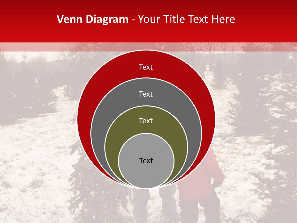 Taking Home The Christmas Tree PowerPoint Template