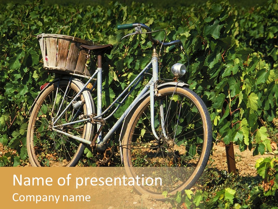 Old Bike In Vineyard In France PowerPoint Template
