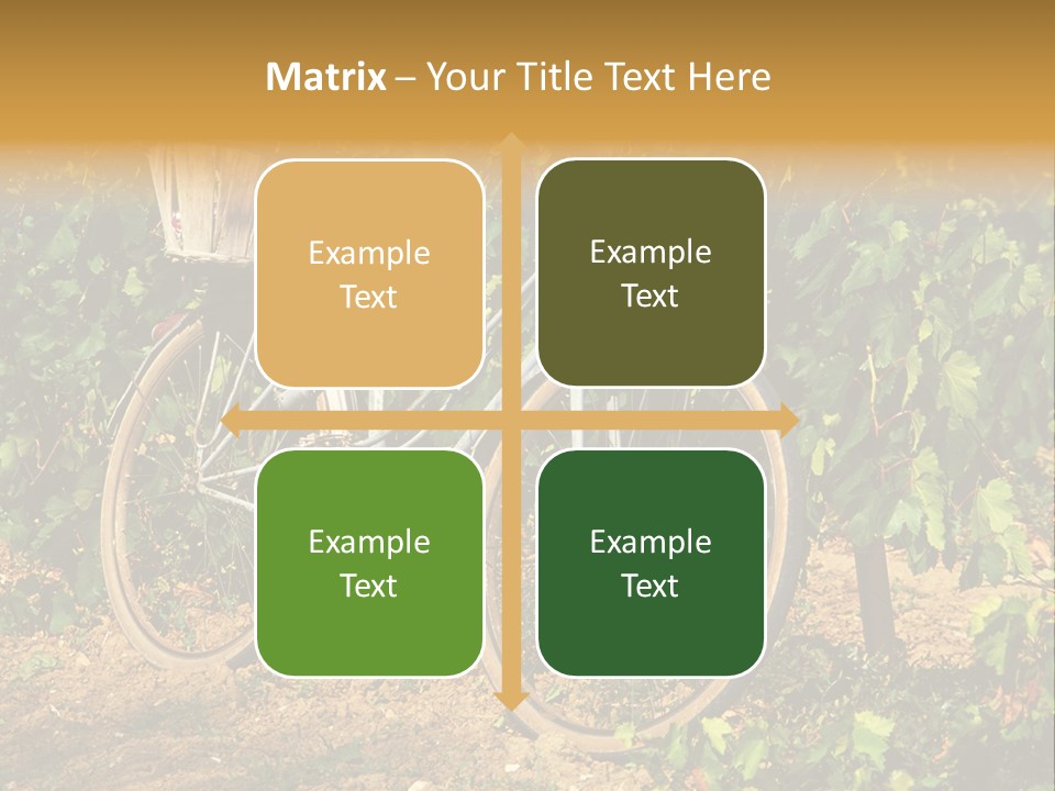 Old Bike In Vineyard In France PowerPoint Template