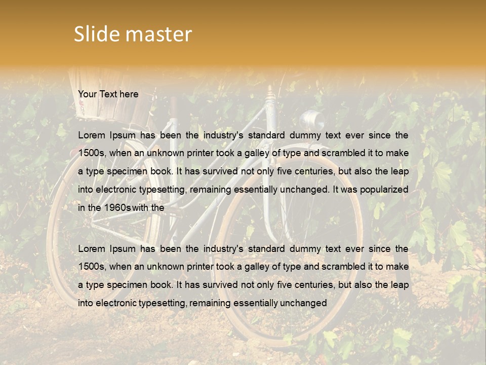 Old Bike In Vineyard In France PowerPoint Template