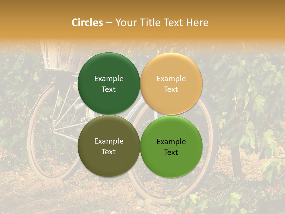 Old Bike In Vineyard In France PowerPoint Template