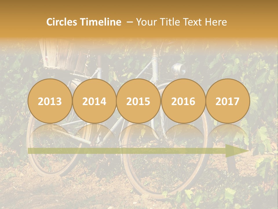 Old Bike In Vineyard In France PowerPoint Template