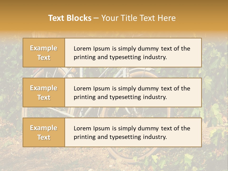 Old Bike In Vineyard In France PowerPoint Template