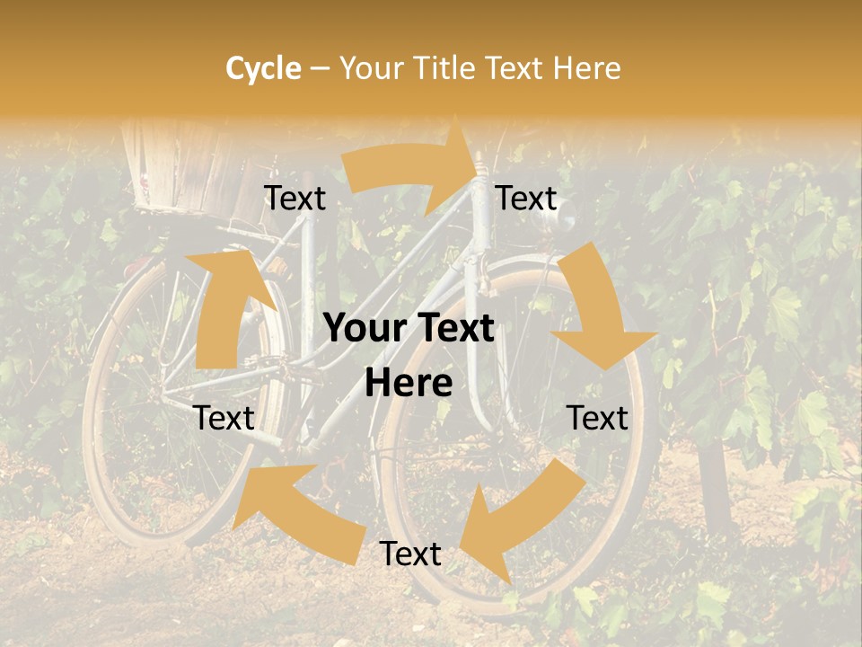 Old Bike In Vineyard In France PowerPoint Template