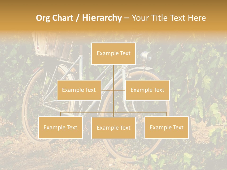 Old Bike In Vineyard In France PowerPoint Template