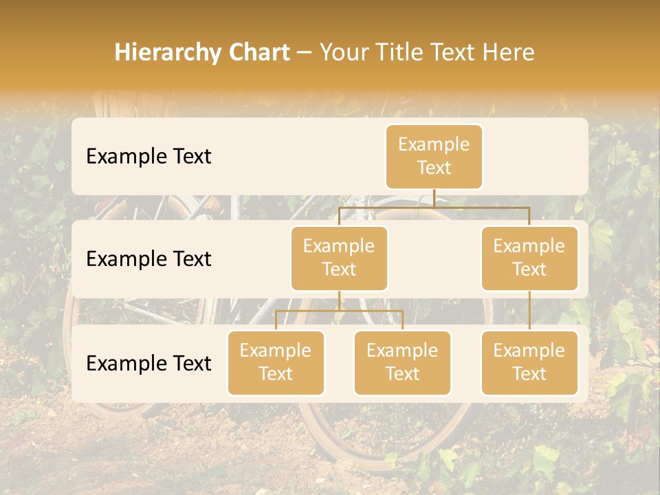 Old Bike In Vineyard In France PowerPoint Template