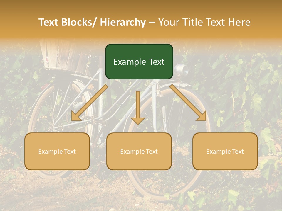 Old Bike In Vineyard In France PowerPoint Template