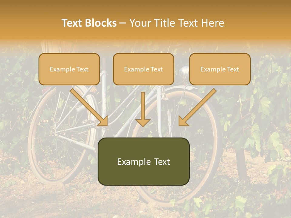 Old Bike In Vineyard In France PowerPoint Template