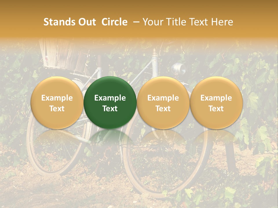 Old Bike In Vineyard In France PowerPoint Template