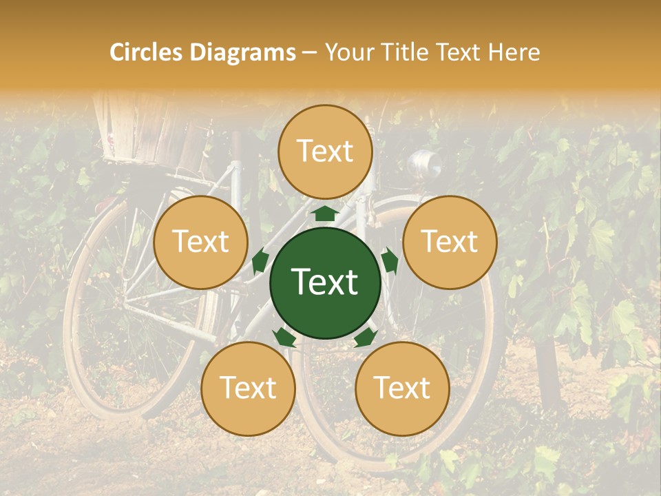 Old Bike In Vineyard In France PowerPoint Template