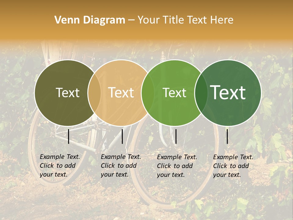 Old Bike In Vineyard In France PowerPoint Template