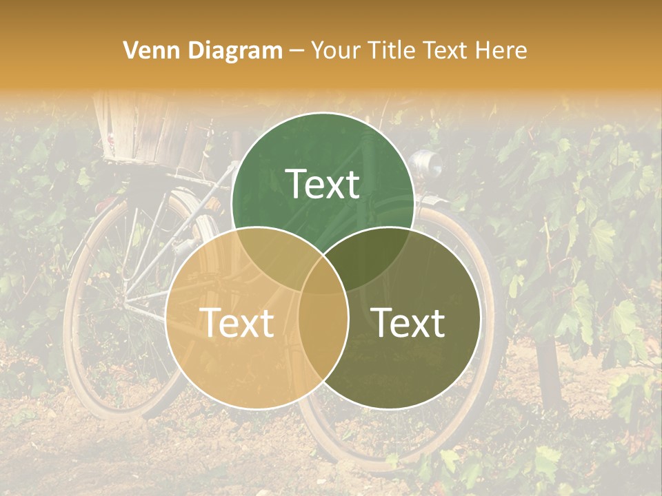 Old Bike In Vineyard In France PowerPoint Template