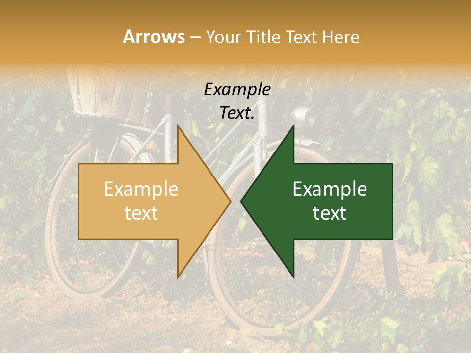 Old Bike In Vineyard In France PowerPoint Template