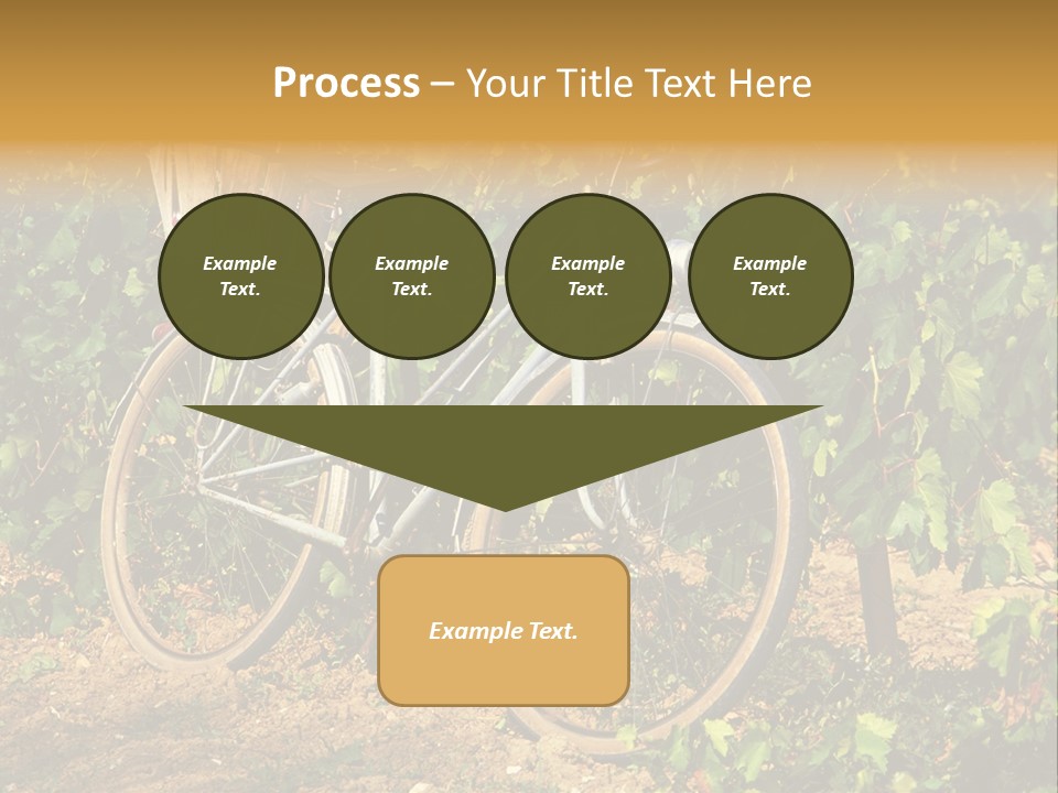 Old Bike In Vineyard In France PowerPoint Template