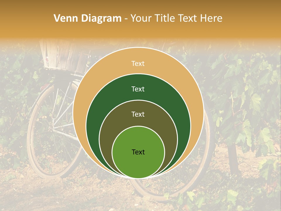 Old Bike In Vineyard In France PowerPoint Template