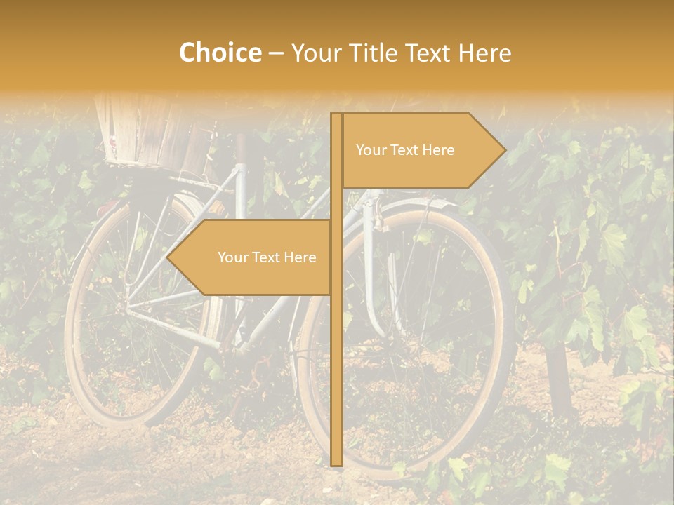 Old Bike In Vineyard In France PowerPoint Template