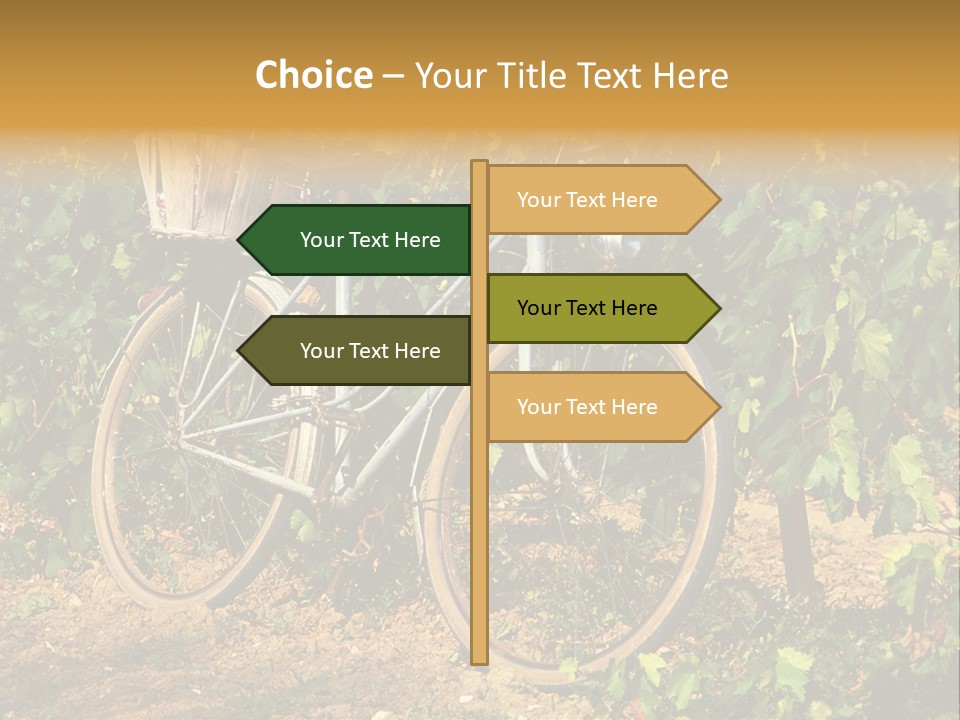 Old Bike In Vineyard In France PowerPoint Template