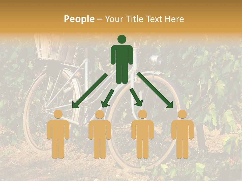 Old Bike In Vineyard In France PowerPoint Template