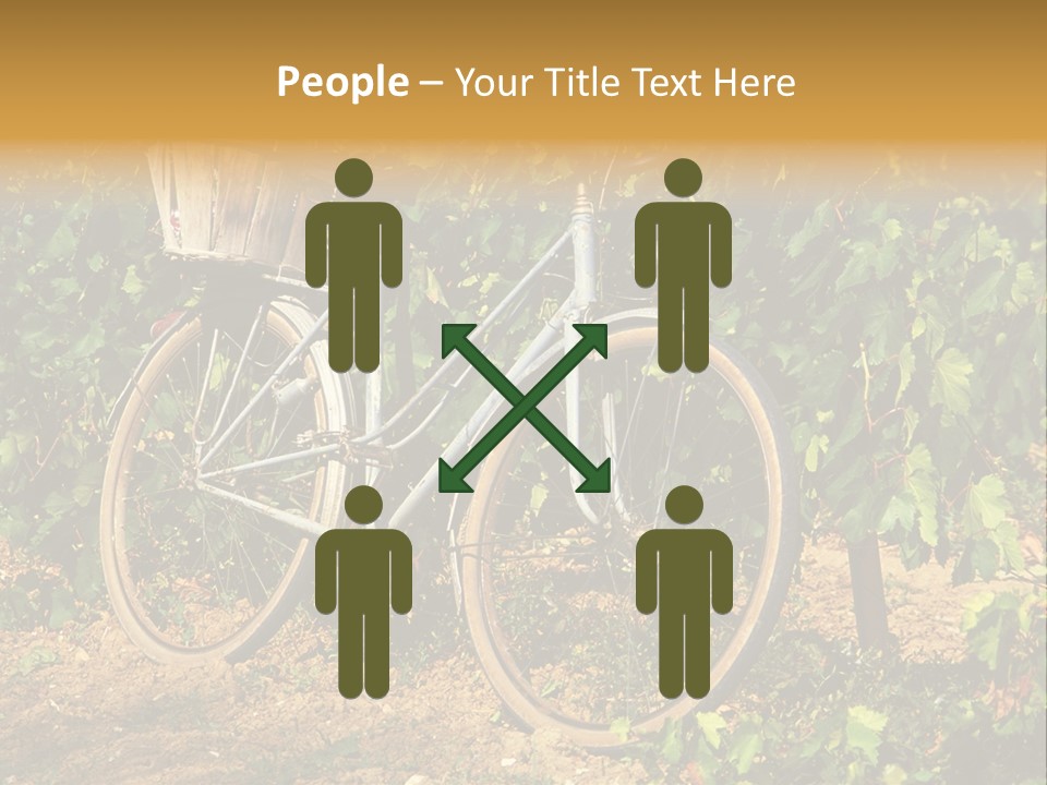 Old Bike In Vineyard In France PowerPoint Template