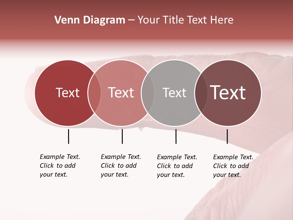 Closeup Of Eczema On Male Finger With Skin Peeling PowerPoint Template