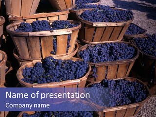 Blue Grapes After The Harvest In Wedge Baskets PowerPoint Template