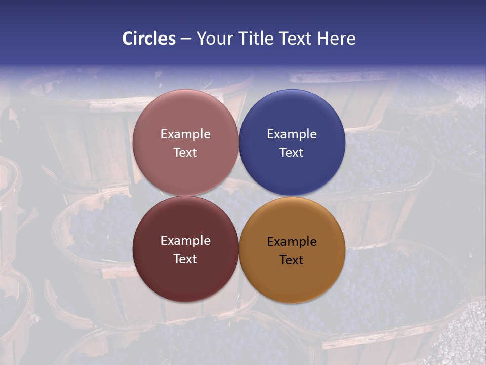 Blue Grapes After The Harvest In Wedge Baskets PowerPoint Template