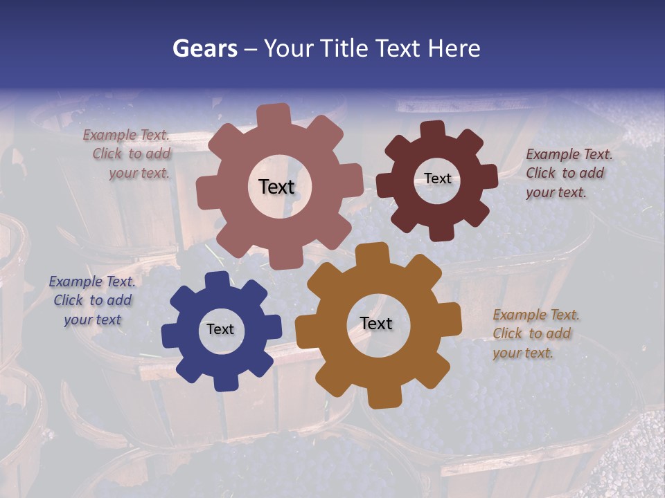 Blue Grapes After The Harvest In Wedge Baskets PowerPoint Template