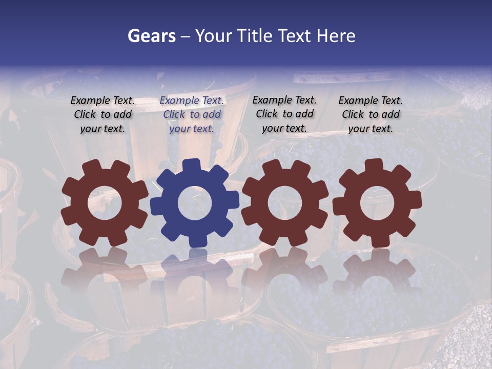 Blue Grapes After The Harvest In Wedge Baskets PowerPoint Template