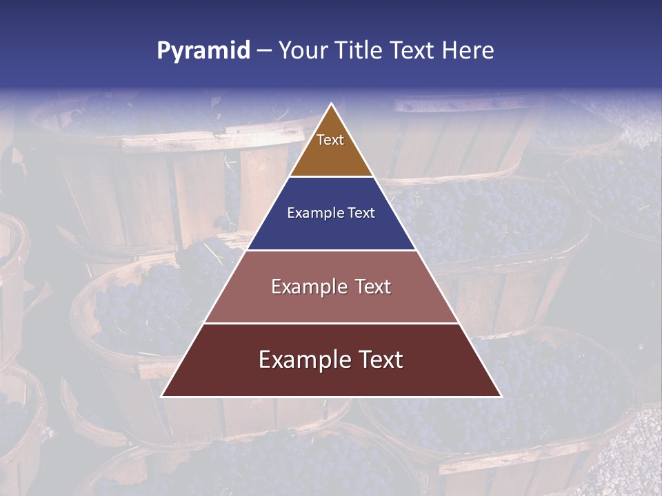 Blue Grapes After The Harvest In Wedge Baskets PowerPoint Template