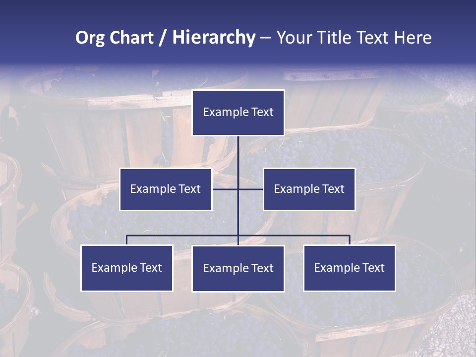 Blue Grapes After The Harvest In Wedge Baskets PowerPoint Template